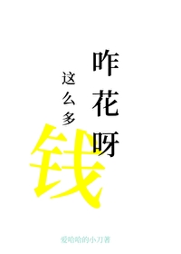 这么多钱怎么花呀